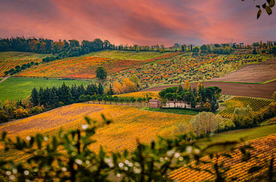 Scenic view of field against sky during sunset