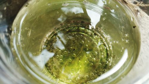 Close-up of drink in glass