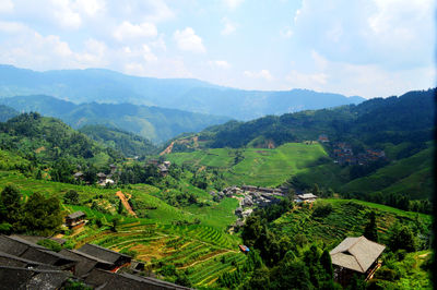 Scenic view of agricultural landscape against sky