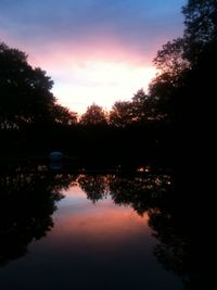 Reflection of trees in calm lake