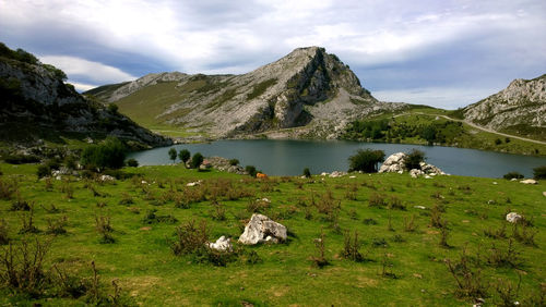 Lake along countryside landscape