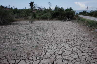 Surface level of dirt road on field against sky