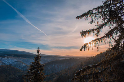 Scenic view of tree mountains against sky during sunset