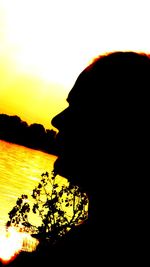 Close-up of silhouette tree against sky during sunset