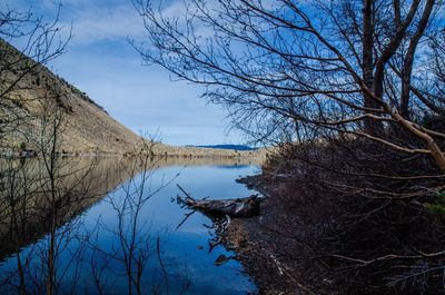 Reflection of bare trees in lake against sky