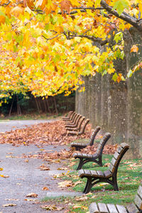 Empty bench in park