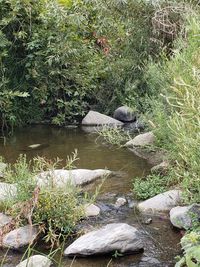 View of water flowing through rocks