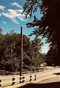 Road by trees against sky