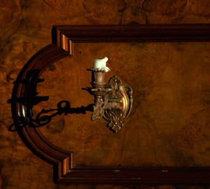 Close-up of a bird on wooden wall