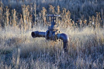 Irrigation pipe  cradleboard trail  carolyn holmberg preserve broomfield colorado united states