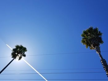 Low angle view of coconut palm tree against clear blue sky