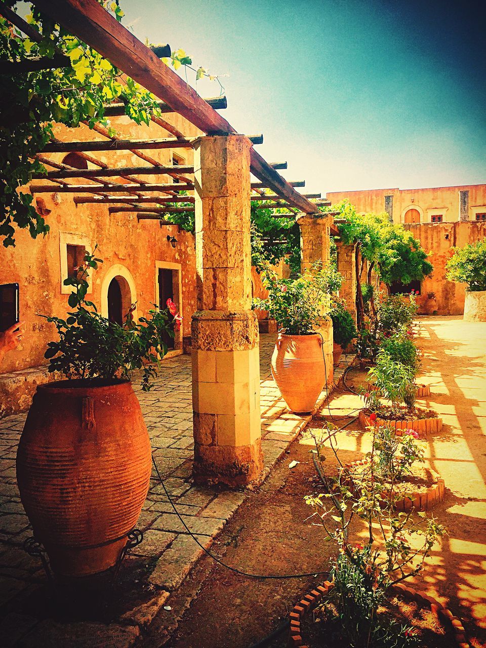 POTTED PLANTS ON HOUSE