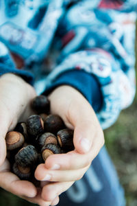 Midsection of boy holding chestnuts