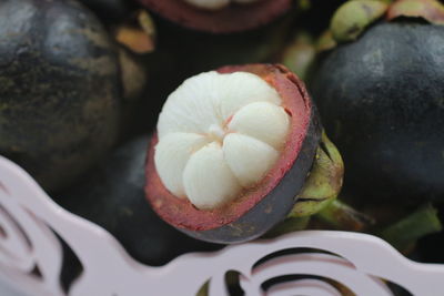 Close-up of white fruit on plant