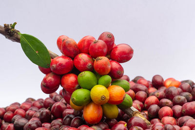 Close-up of grapes against white background