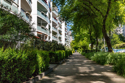 Street amidst trees and plants in city