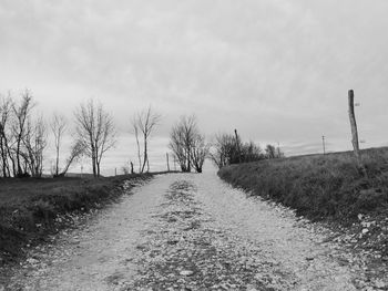 Road amidst trees on field against sky