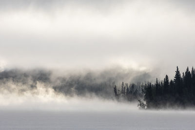 Thick mist floating over calm lake water and trees during sunrise