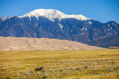 Scenic view of landscape and mountains against sky