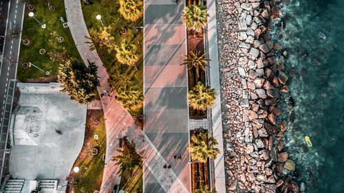 Panoramic shot of plants and trees seen through glass window