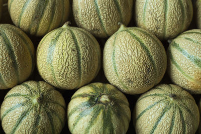 Full frame shot of cantaloupes