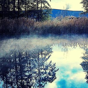 Scenic view of lake in forest against sky