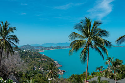 Palm trees on beach against sky