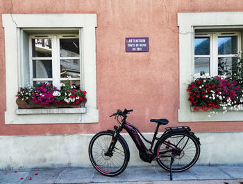 Bicycle parked by potted plant on window of building