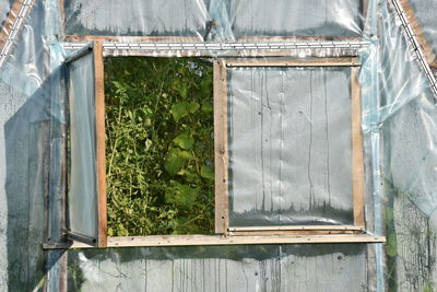 Closed window of house