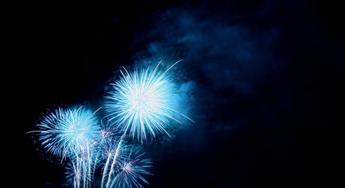 Fantastic vibrant arctic blue fireworks splashing in the night sky