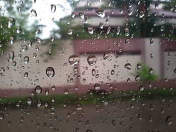 Close-up of water drops on glass window