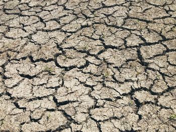 Full frame shot of cracked land