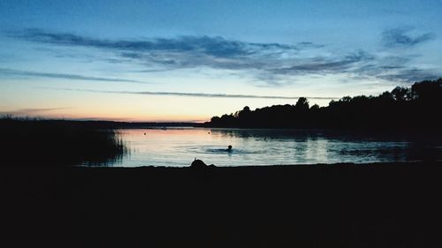 Silhouette of trees at sunset