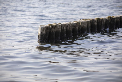 Close-up of wooden post in sea