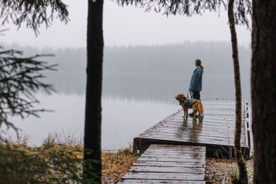 View of girl with dog on pier over lake