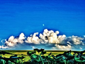 Scenic view of blue sea against sky