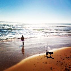 People enjoying at beach