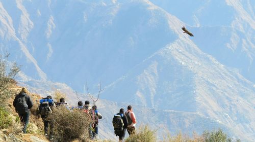 Tourists enjoying on mountain