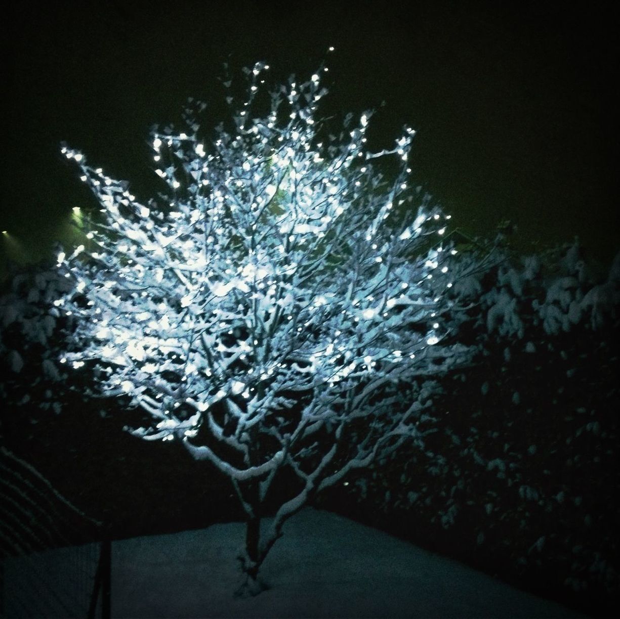 water, high angle view, night, nature, beauty in nature, no people, waterfront, winter, tranquility, reflection, outdoors, cold temperature, wet, close-up, rippled, floating on water, white color, season, snow