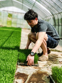 Young man looking away while sitting on grass