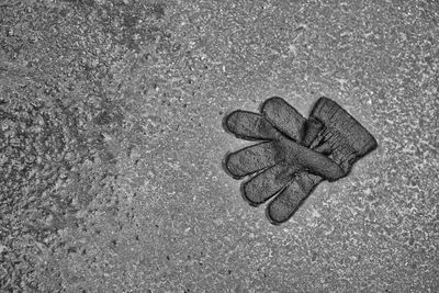 High angle view of glove on wet street during rainy season