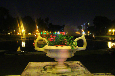 Illuminated street light at night