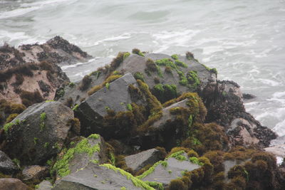 High angle view of rocks on beach