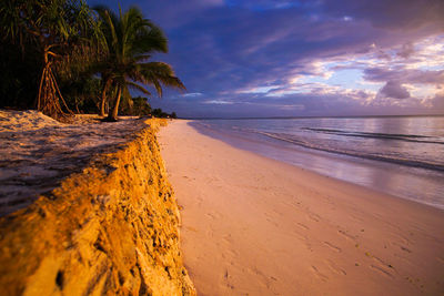 Scenic view of beach