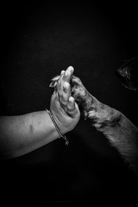 Close-up of woman holding hands against black background