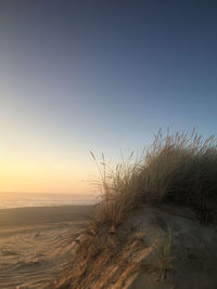 Scenic view of sea against clear sky during sunset