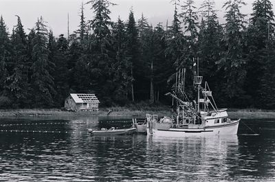 Sailboats moored on lake against trees