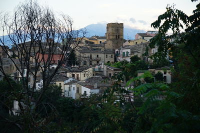 Houses and trees in city against sky