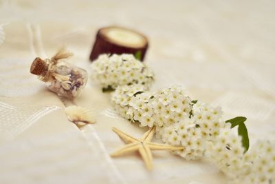 Close-up of white flowers on table