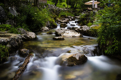 Stream flowing through rocks in forest